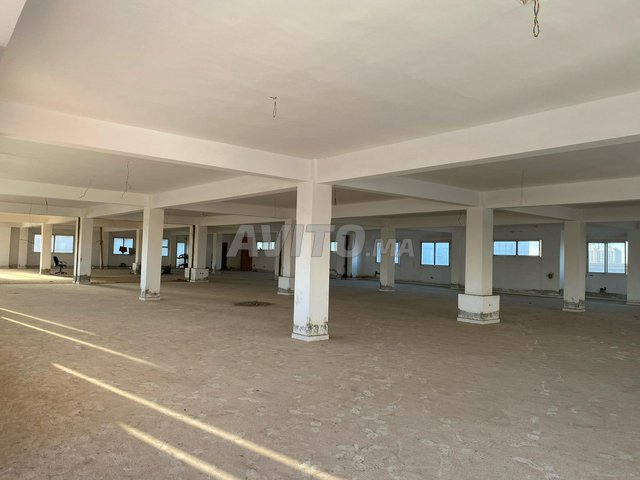 Plateau bureau de 800 m² à louer à Tassila - 2