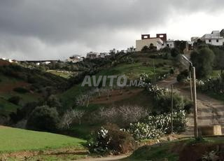 أرض فلاحية مجهزة بني معدن للبيع أو