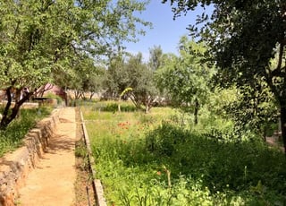 مزرعة موثقة في منطقة تيزنيت