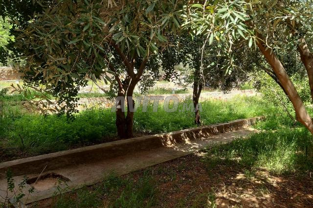 Ferme titrée sur la région de Tiznit