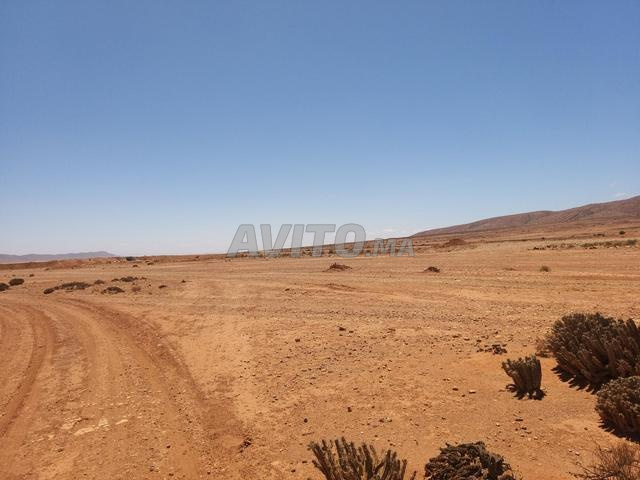 أرض 600 هكتار موثقة في منطقة كلميم - 2