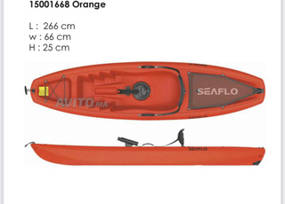 Kayak multifonction et paddle 