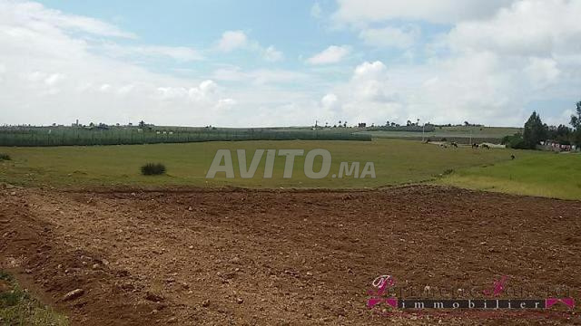 Tnine Chtouka beau terrain à vendre 10000m²