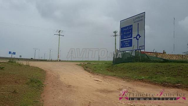 Tnine Chtouka beau terrain à vendre 10000m²