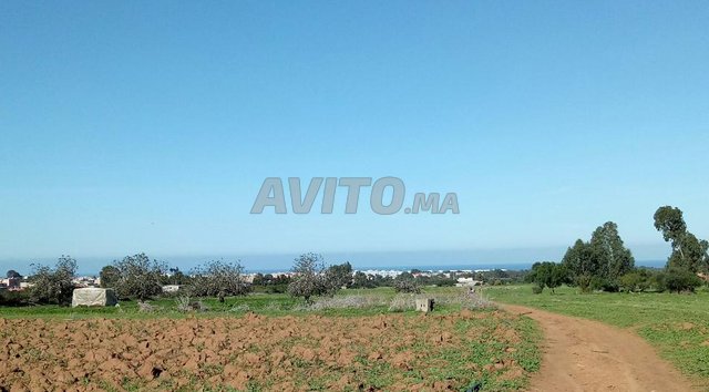 Terrain 10000m2 à beni yekhlef