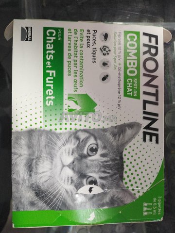 Frontline Pipette Anti Puces Tiques Et Poux Animaux A Sale Avito Ma Undefined