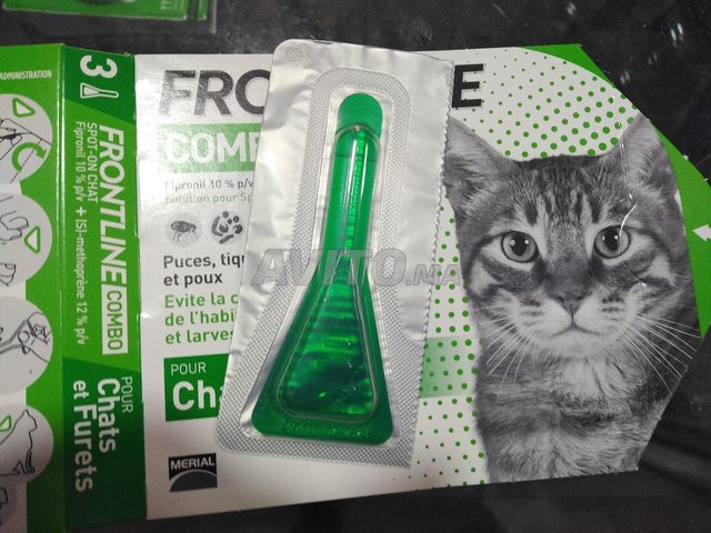 Frontline Pipette Anti Puces Tiques Et Poux Animaux A Sale Avito Ma Undefined