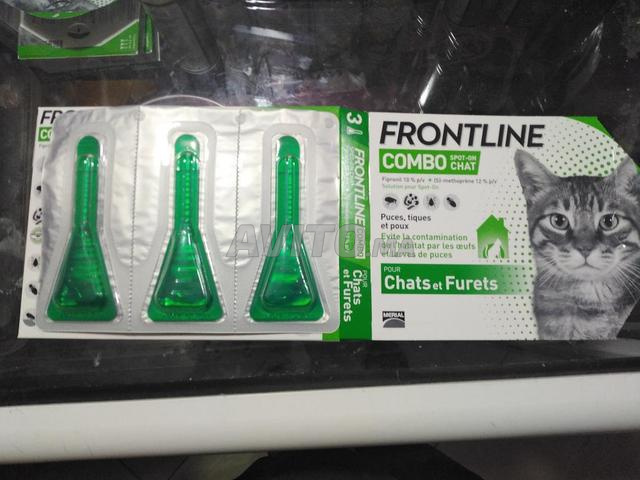 Frontline Pipette Anti Puces Tiques Et Poux Animaux A Sale Avito Ma Undefined
