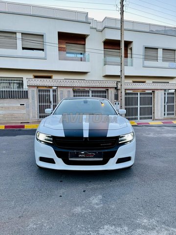 Dodge charger avito