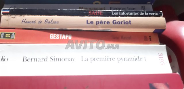 livres de littératures française.  - 4