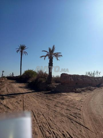 Terrain titré de 13500 m² à 22 km de Marrakech - 2