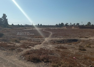 Terrain titré de 13500 m² à 22 km de Marrakech
