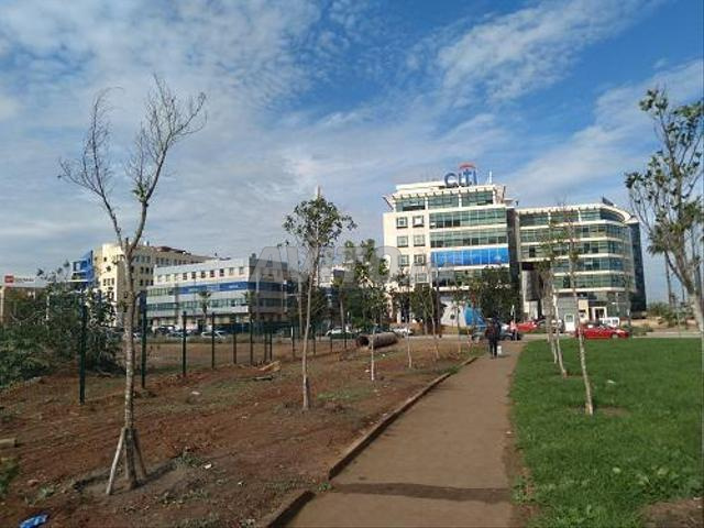 مكاتب بـ 150 متر إلى 3000 متر في سيدي معروف.