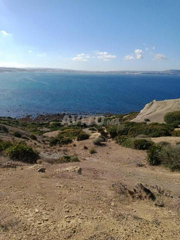 Terrain et ferme en Vente à Tanger
