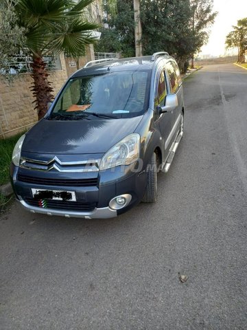 Avito citroen berlingo