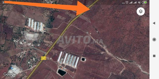 Terrain 9.5Ha sidi khyar FES - 2