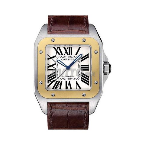 CARTIER Santos N3102