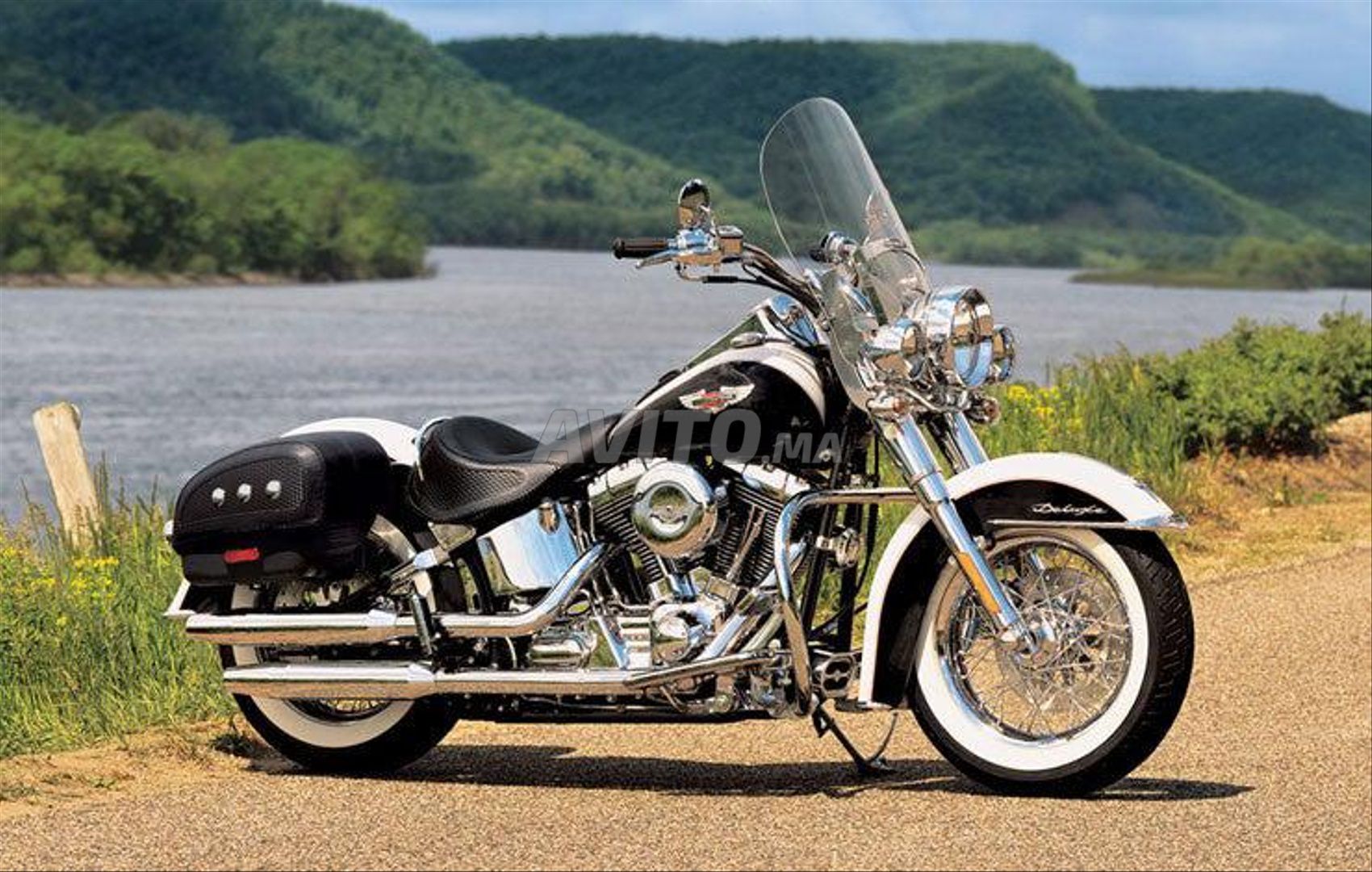 Sublime Harley Davidson Softail Deluxe  - 1
