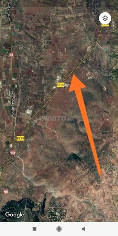 Terrain et ferme 23Ha en Vente à Fès Sidi Khyar - 2