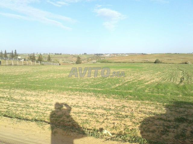 ter titre 18000m2 kamouni - 2