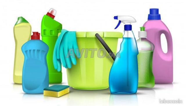 femme de ménage nounou garde malade polyvalente