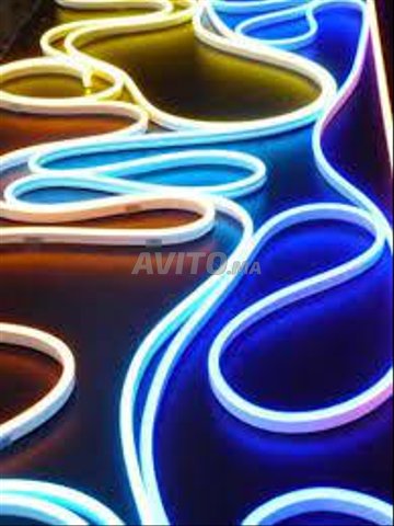 Neon LED FLEX 50 MTR  - 2