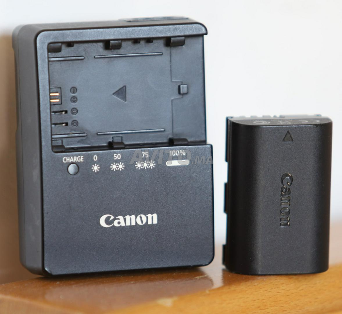 Canon EOS 5D Mark II - 3