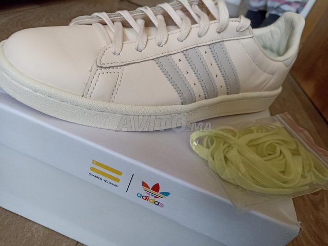 Adidas Campus Edition Pharell Williams originale Chaussures