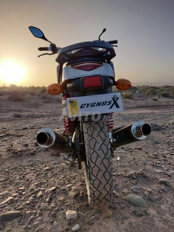 harli motor