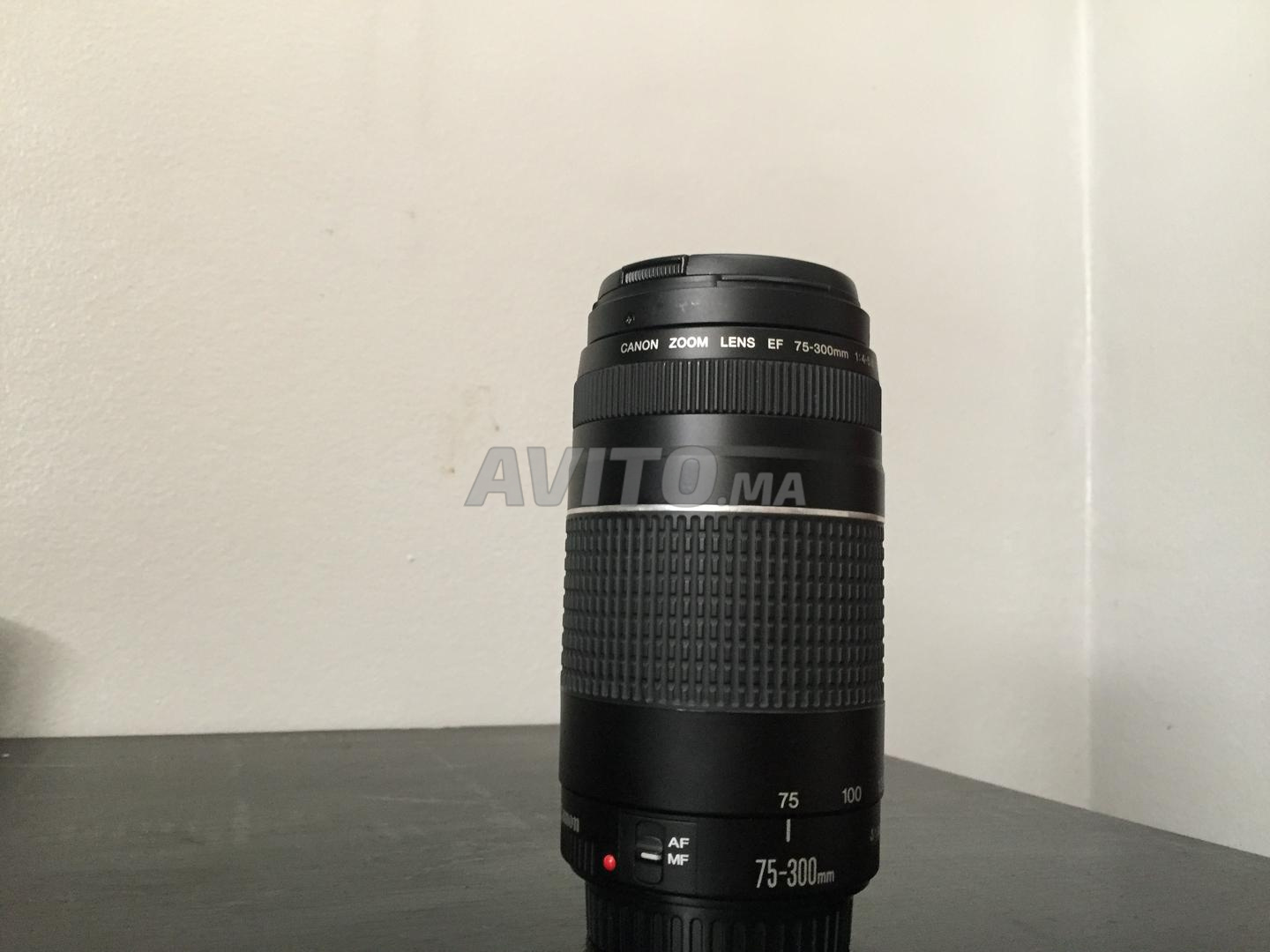 Canon Zoom Lens 75-300m  - 3