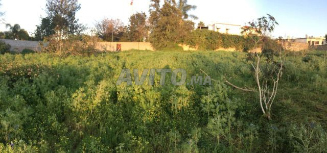 A vendre belle parcelle1950m2 2facades Bir Kacem