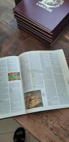 Encyclopédie Espagnole illustrée Larousse.