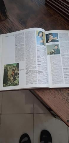 Encyclopédie Espagnole illustrée Larousse.