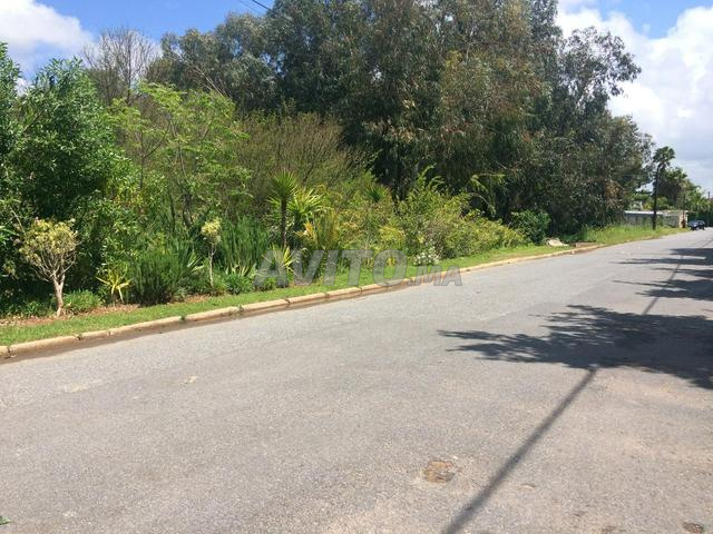 A vendre beau terrain2000m2 tres bien situeSouissi