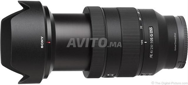 L excellent Sony FE 24-105 mm F4 G OSS - 2