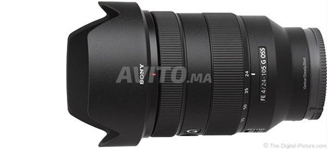 L excellent Sony FE 24-105 mm F4 G OSS - 1