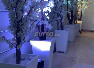 مركز تجميل وسبا في تمارة