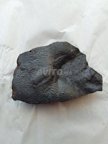 météorites à vendre  نيزك للبيع - 1