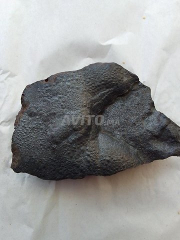 météorites à vendre  نيزك للبيع - 5