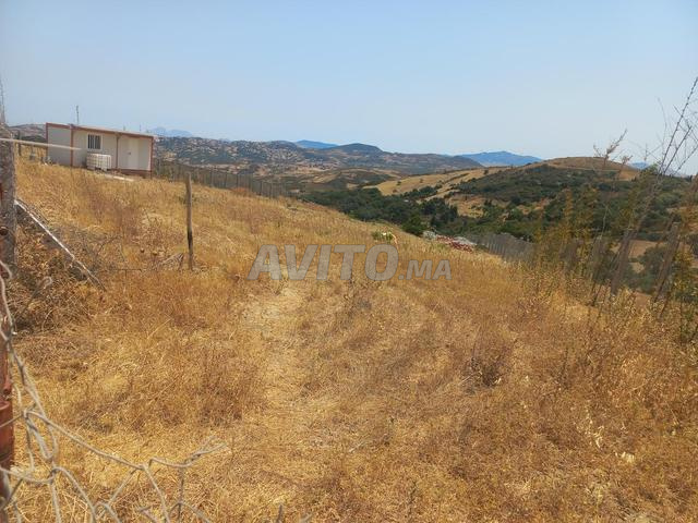 Terrain et ferme en Vente à Tanger - 2