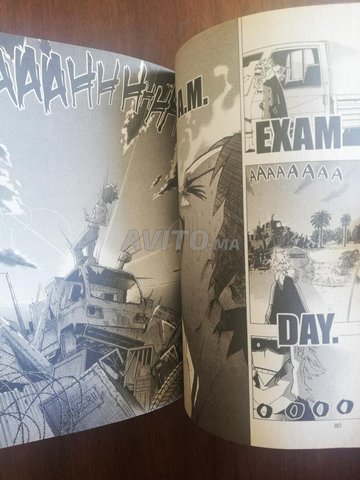 Manga. My Hero Academia Vol 1 - 3