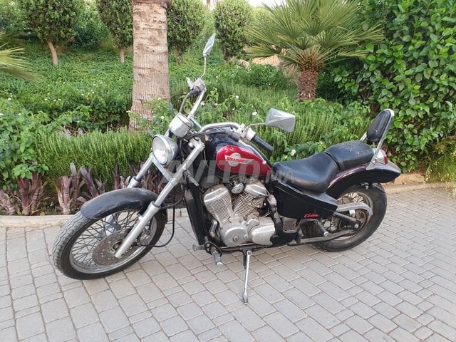 Honda shadow avito