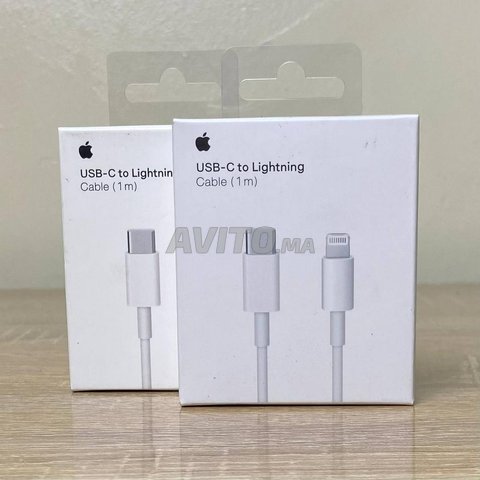 Apple - Câble Lightning vers USB ( 1 m) - 1