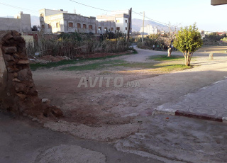 Terrain et ferme  en Vente à Nador