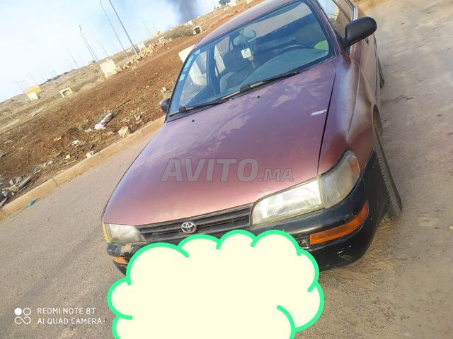 Avito toyota corolla