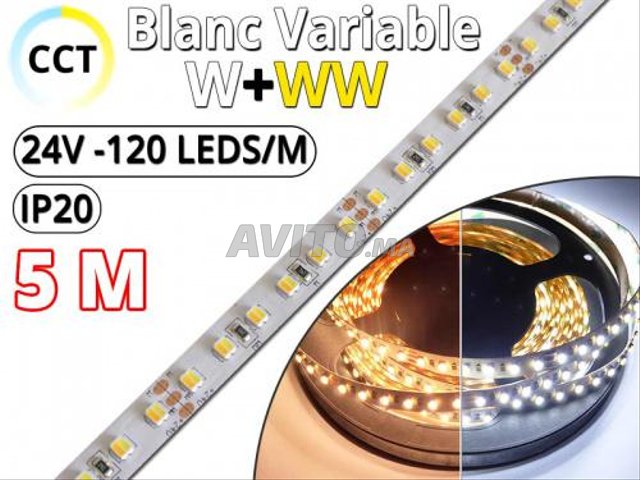 Kit Ruban LED Blanc Variable CCT (W WW) Pro 5M24V - 3