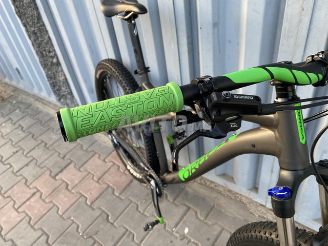 Vtt orbea online vert