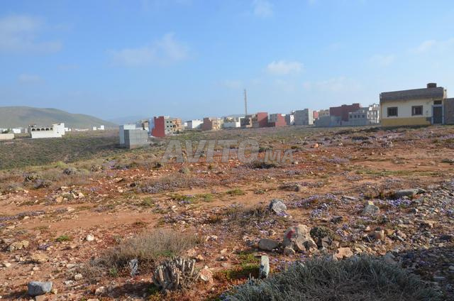 Terrain titré 7 hectares lotissement plage Aglou - 2