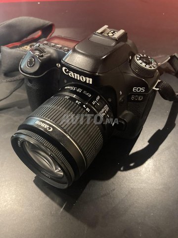 Canon EOS 80D - 3