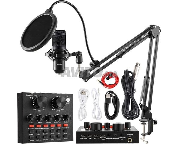 BM-800 Microphone à Condensateur avec carte son V8
